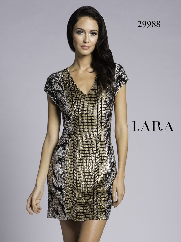 Lara-29988-1